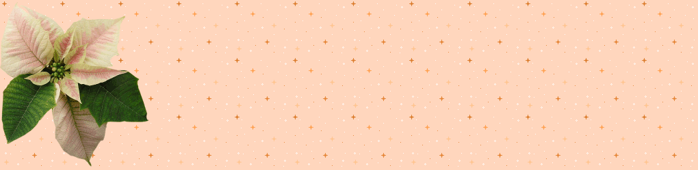 Bez-názvu-3b.gif